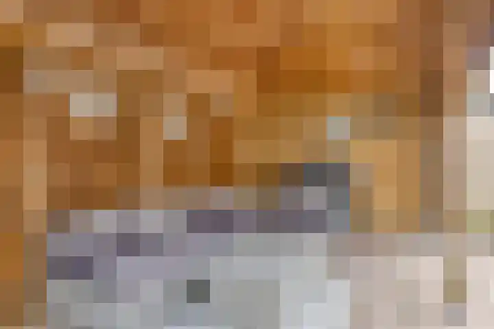 Denekamperdijk 30 Losser thumbnail 37