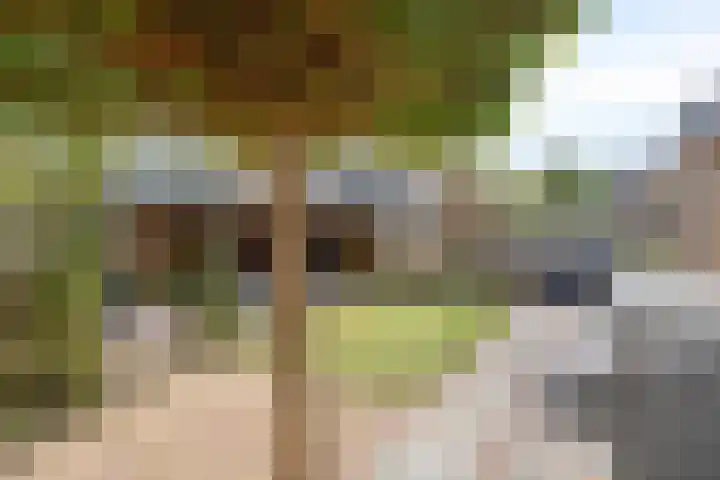 Denekamperdijk 30 Losser thumbnail 4