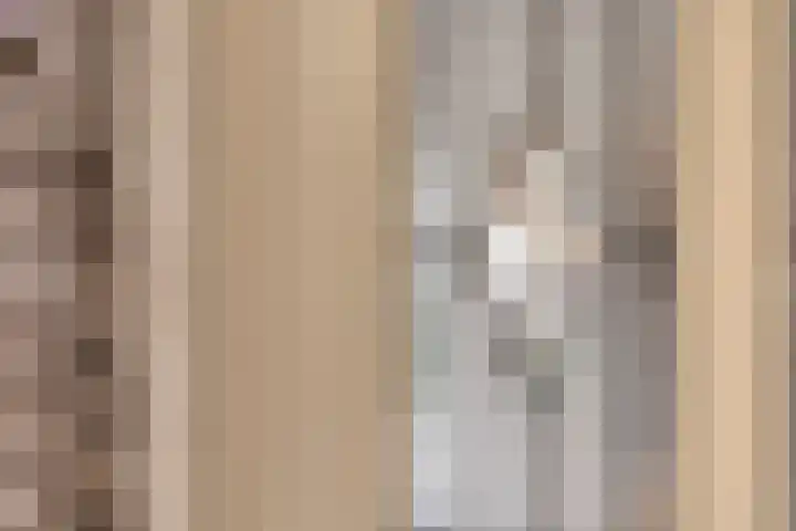 Denekamperdijk 30 Losser thumbnail 6