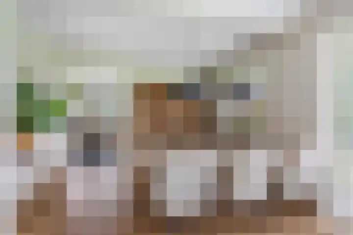 Denekamperstraat 23 A Beuningen thumbnail 11