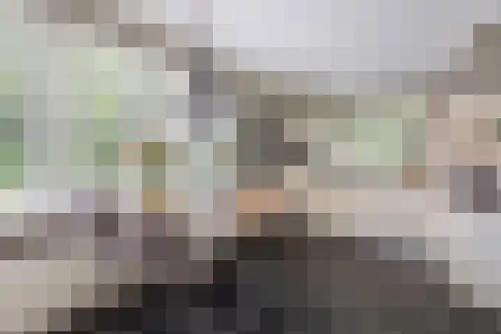 Denekamperstraat 23 A Beuningen thumbnail 12