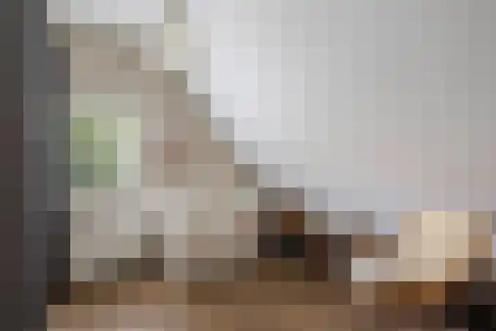 Denekamperstraat 23 A Beuningen thumbnail 17