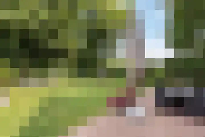 Denekamperstraat 23 A Beuningen thumbnail 21