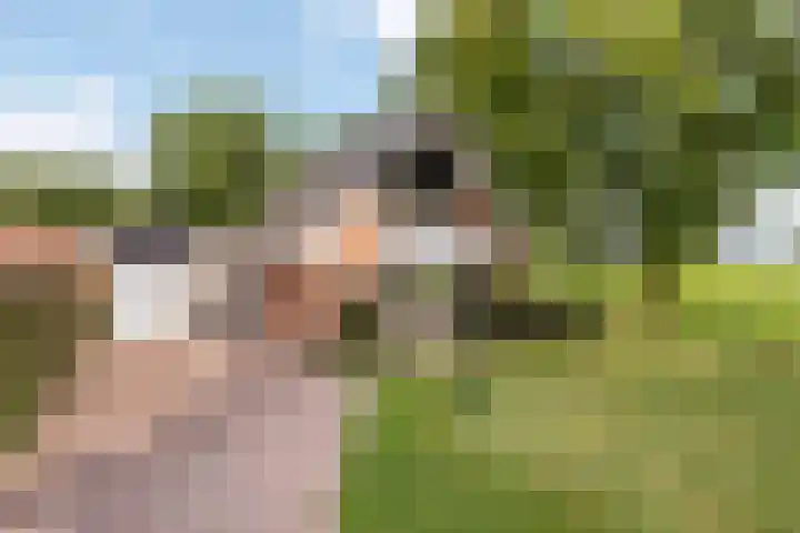 Denekamperstraat 23 A Beuningen thumbnail 6