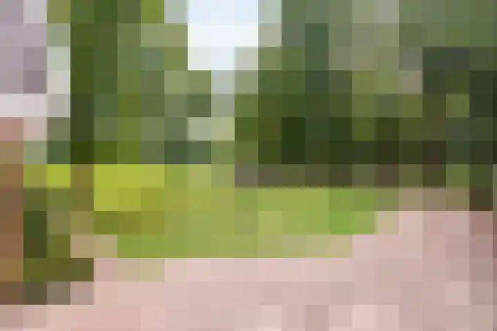 Denekamperstraat 23 A Beuningen thumbnail 7