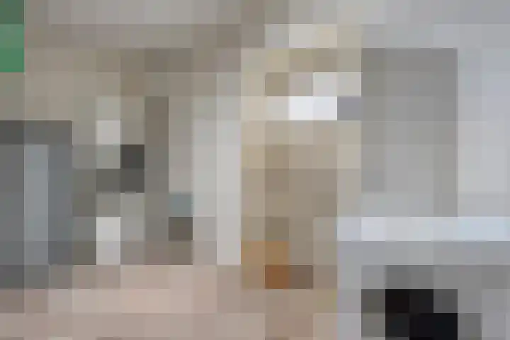 Denekamperweg 212 Vasse thumbnail 16