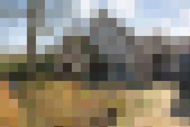 Denekamperweg 212 Vasse thumbnail 19