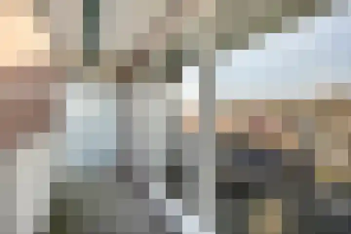 Denenburg 12 Den Haag thumbnail 9