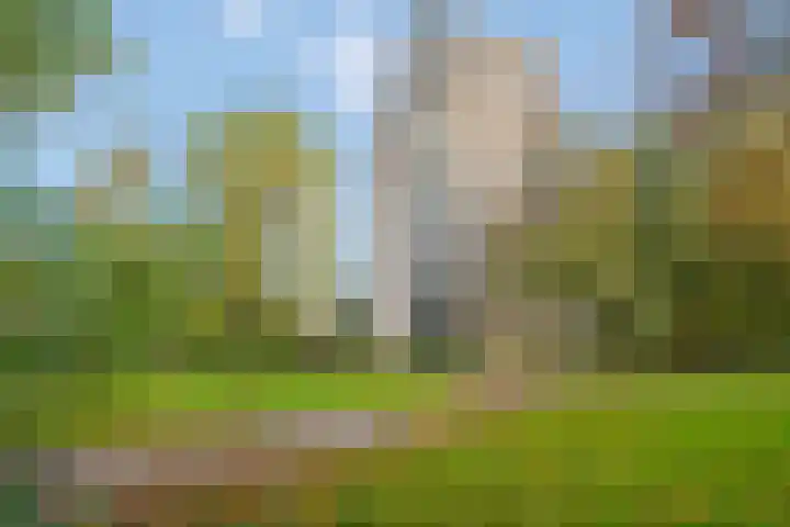 Denenburg 75 Den Haag