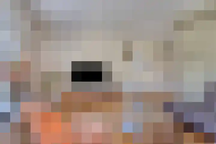 Denneappel 4 Ruurlo thumbnail 14