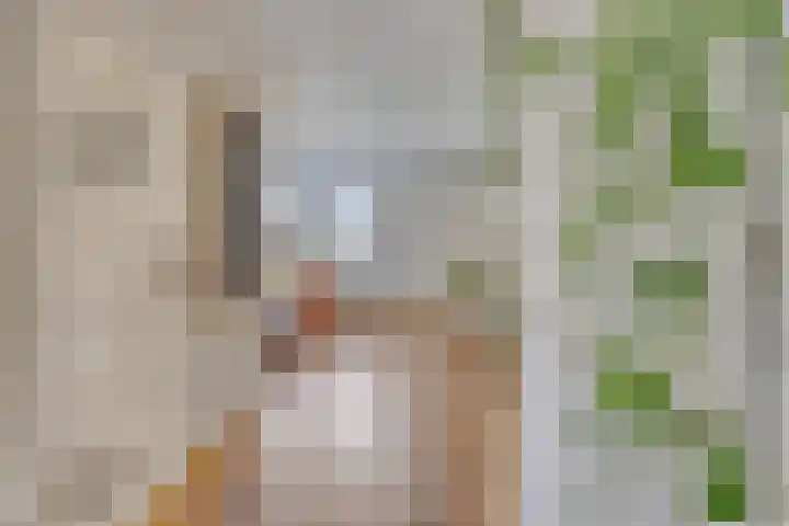 Denneappel 4 Ruurlo thumbnail 16