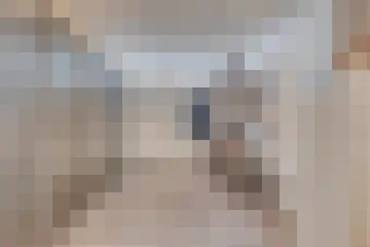 Denneappel 4 Ruurlo thumbnail 24