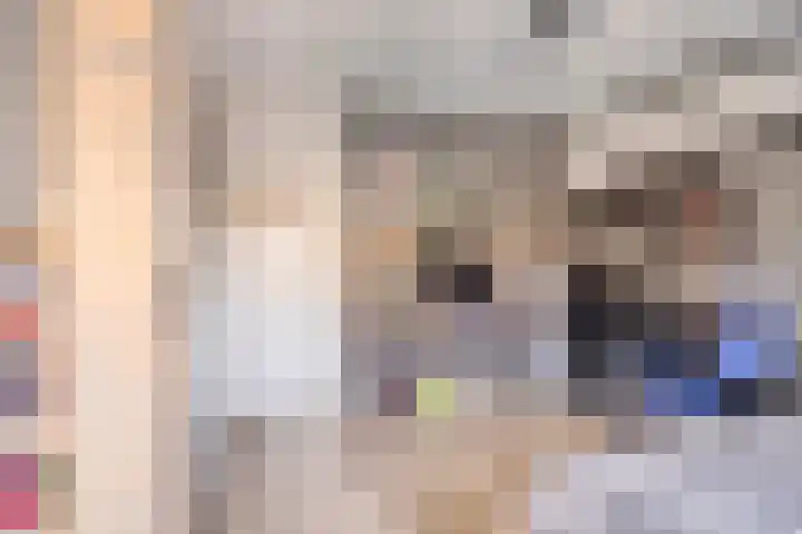 Denneappel 4 Ruurlo thumbnail 32