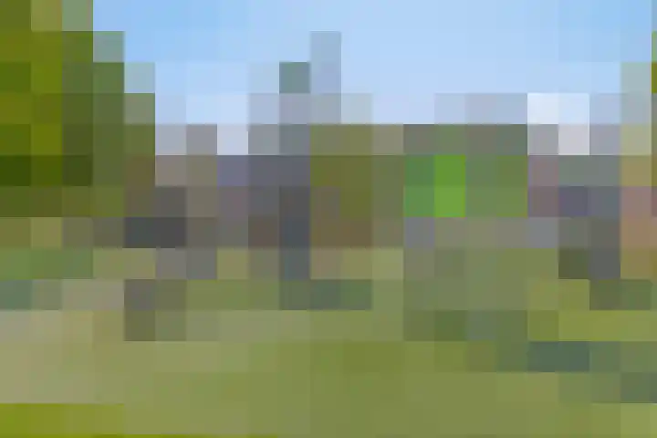 Denneappel 4 Ruurlo thumbnail 41