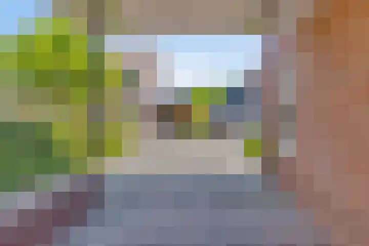 Denneappel 4 Ruurlo thumbnail 9