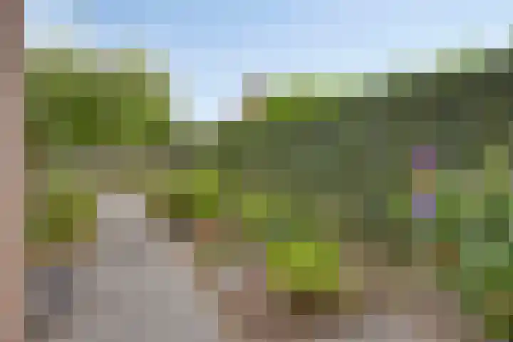 Dennekampke 11 's-Hertogenbosch thumbnail 35