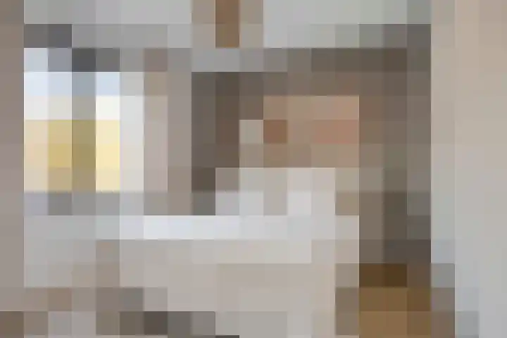 Dennenbos 2 Veldhoven thumbnail 30