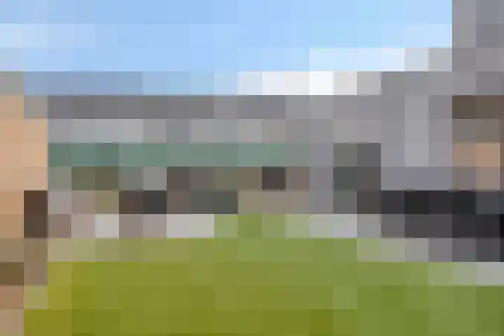 Dennenbos 2 Veldhoven thumbnail 47