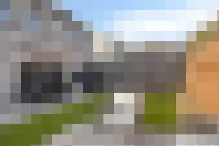 Dennenbos 2 Veldhoven thumbnail 50