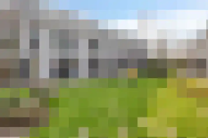 Dennenbos 2 Veldhoven thumbnail 53