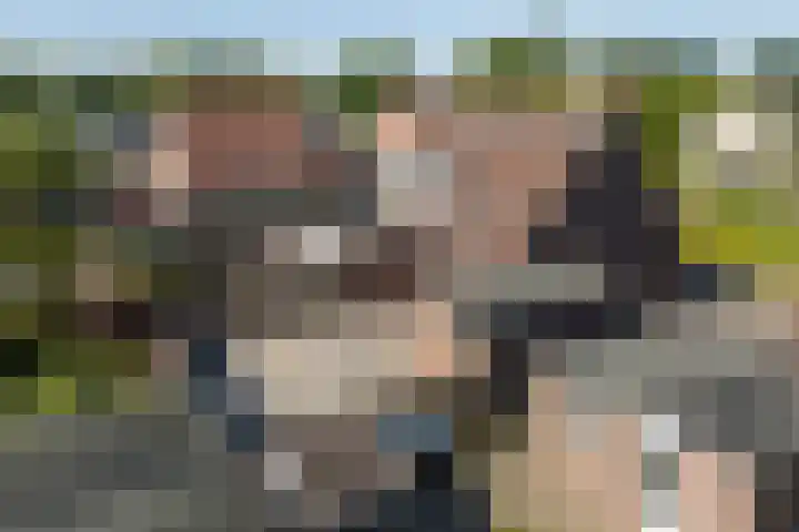 Dennenburg 17 Bolsward thumbnail 13