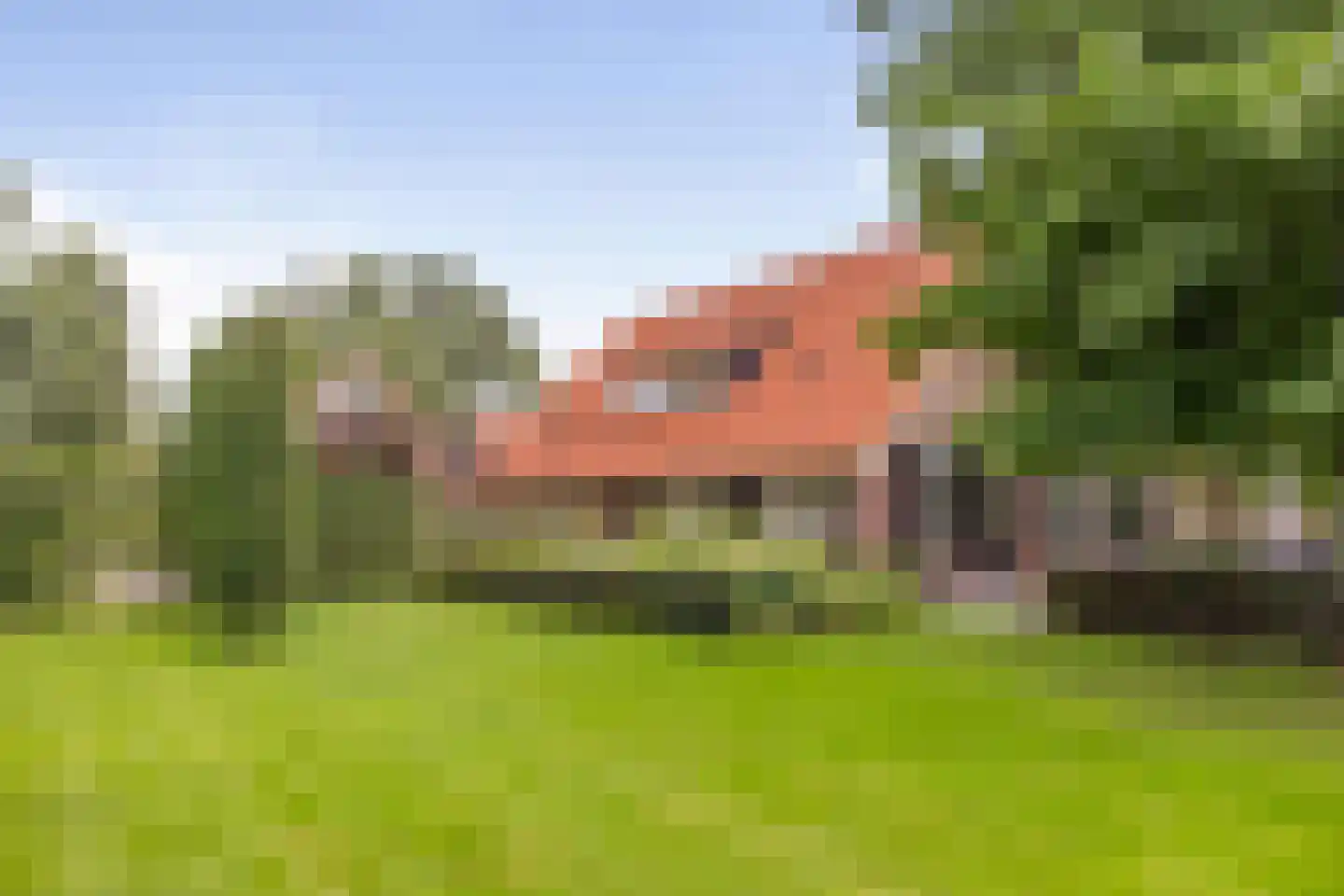 Dennendijk 6 Geesteren thumbnail 102