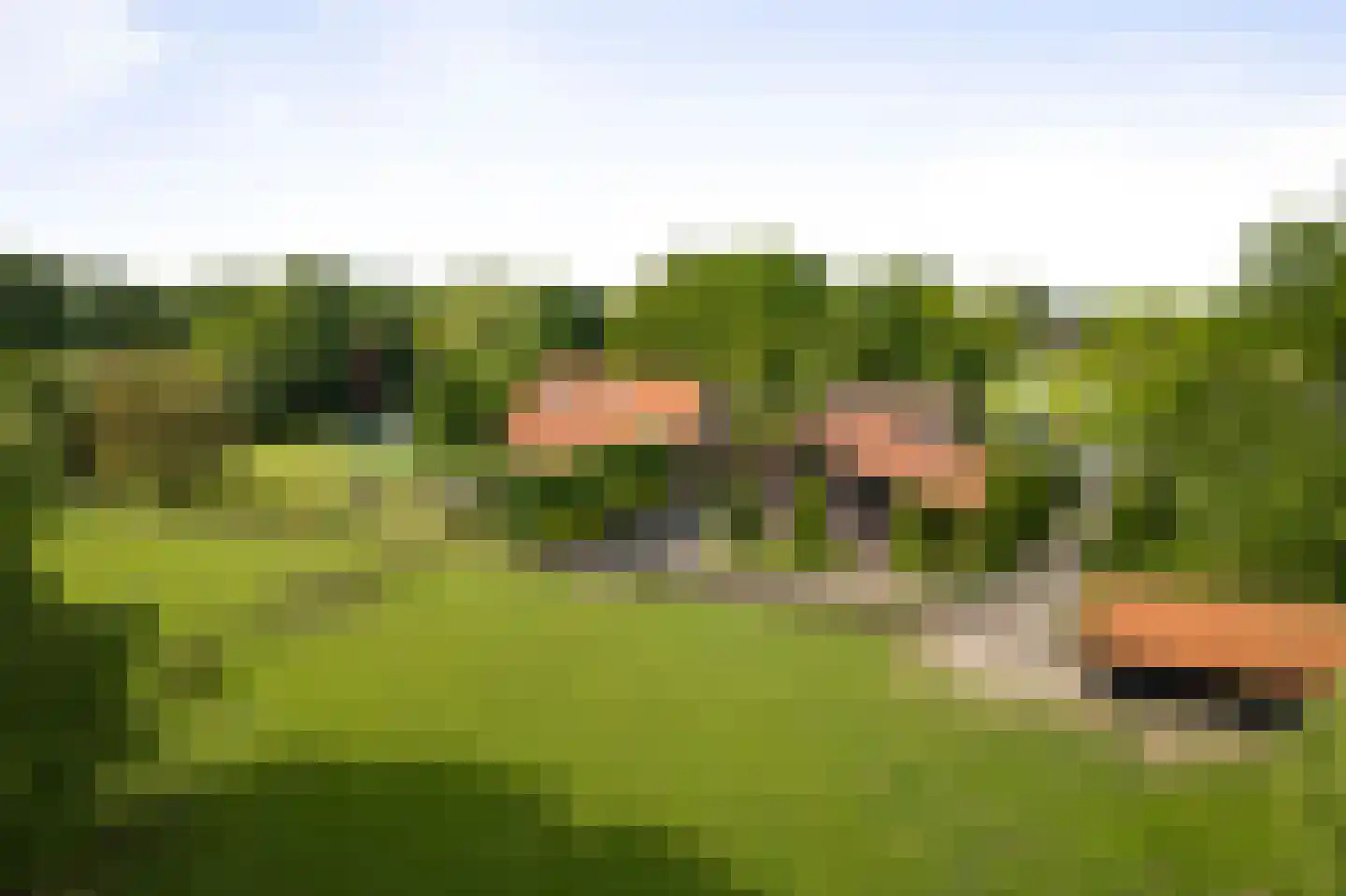Dennendijk 6 Geesteren thumbnail 18