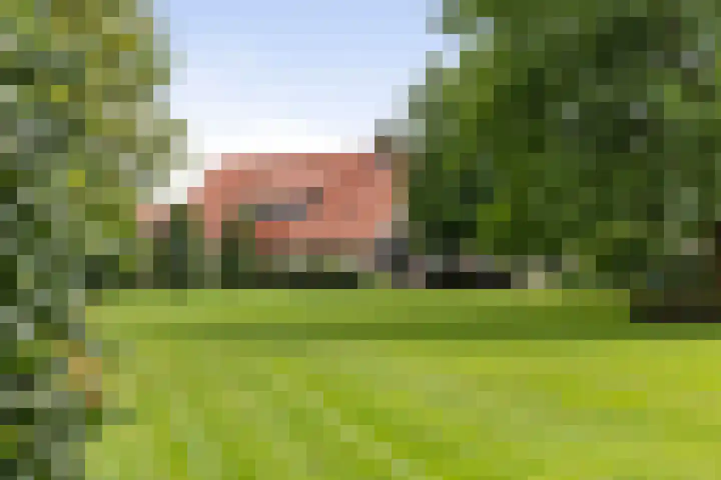 Dennendijk 6 Geesteren thumbnail 20