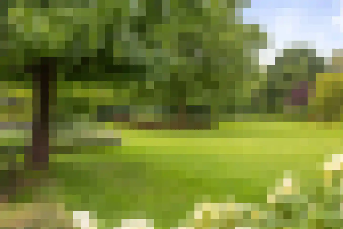Dennendijk 6 Geesteren thumbnail 24