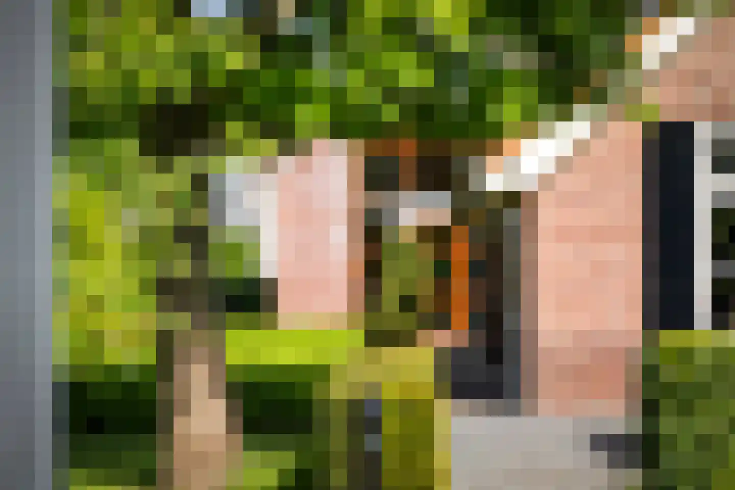 Dennendijk 6 Geesteren thumbnail 27