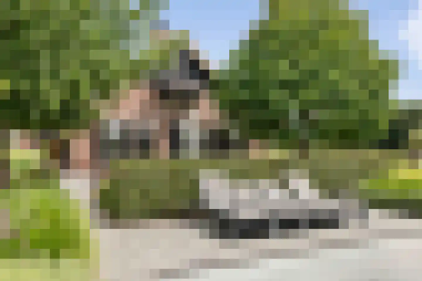 Dennendijk 6 Geesteren thumbnail 30