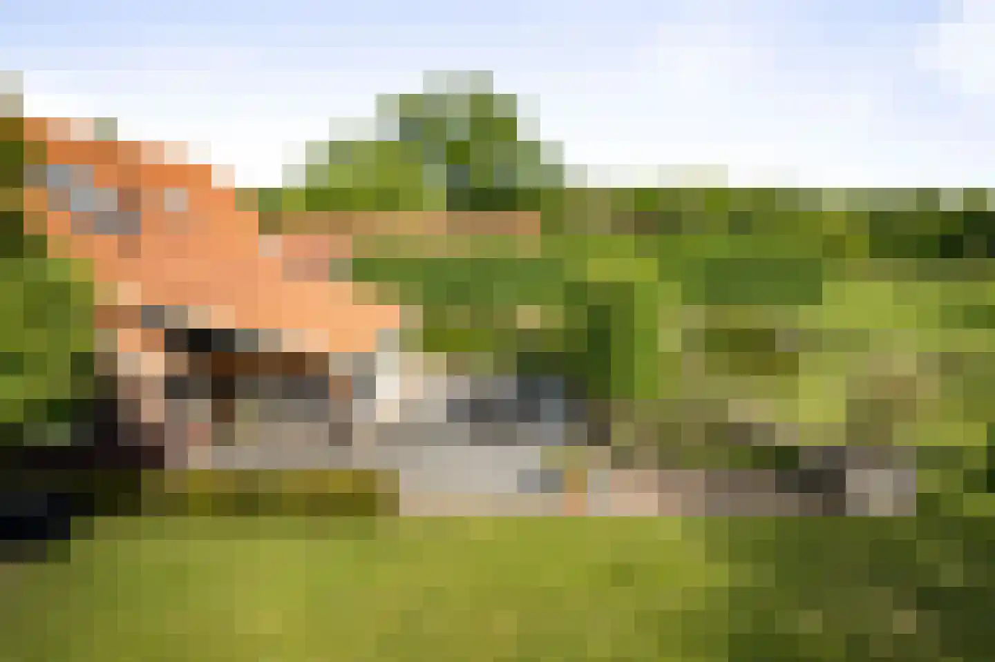 Dennendijk 6 Geesteren thumbnail 31