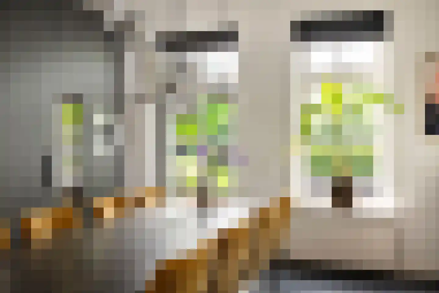Dennendijk 6 Geesteren thumbnail 40