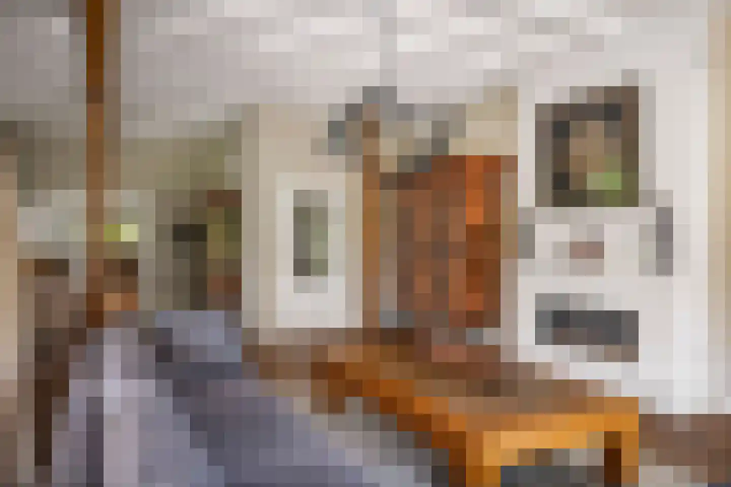 Dennendijk 6 Geesteren thumbnail 44