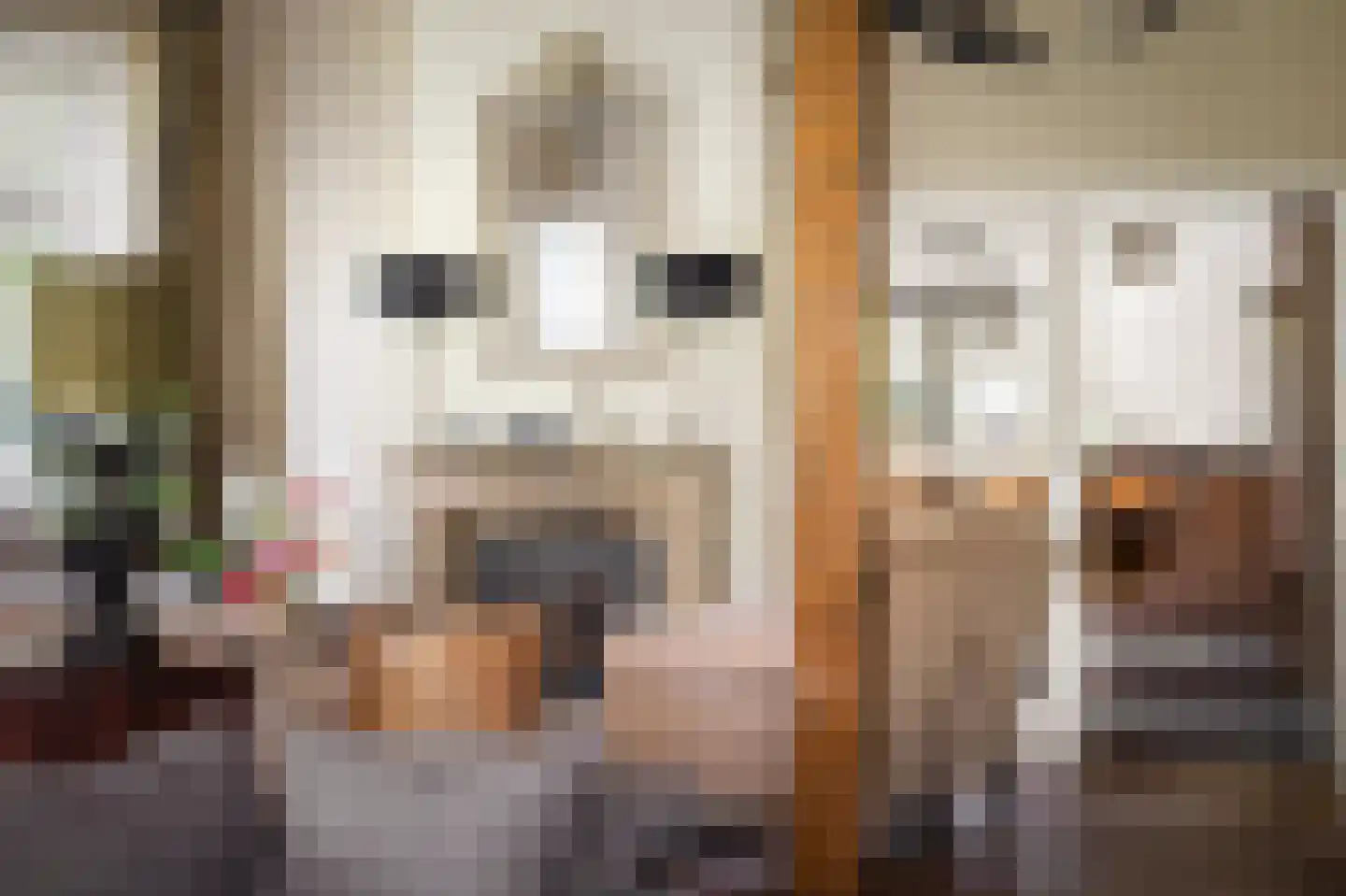Dennendijk 6 Geesteren thumbnail 46