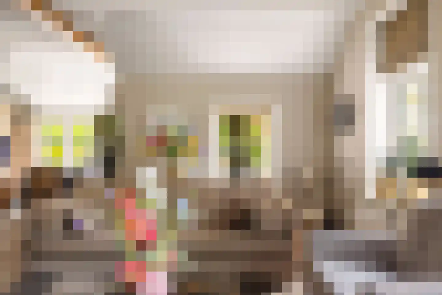 Dennendijk 6 Geesteren thumbnail 47