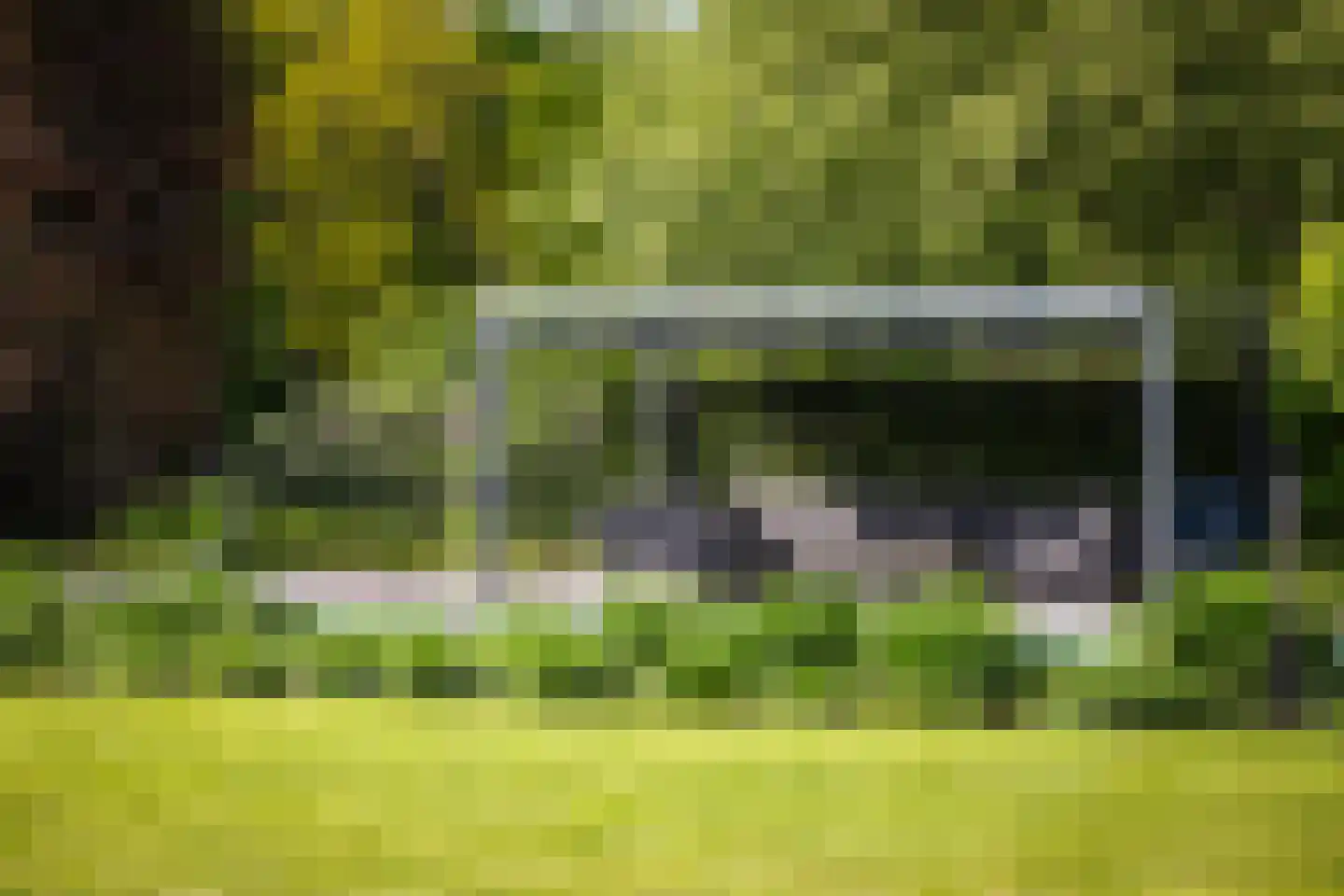 Dennendijk 6 Geesteren thumbnail 5
