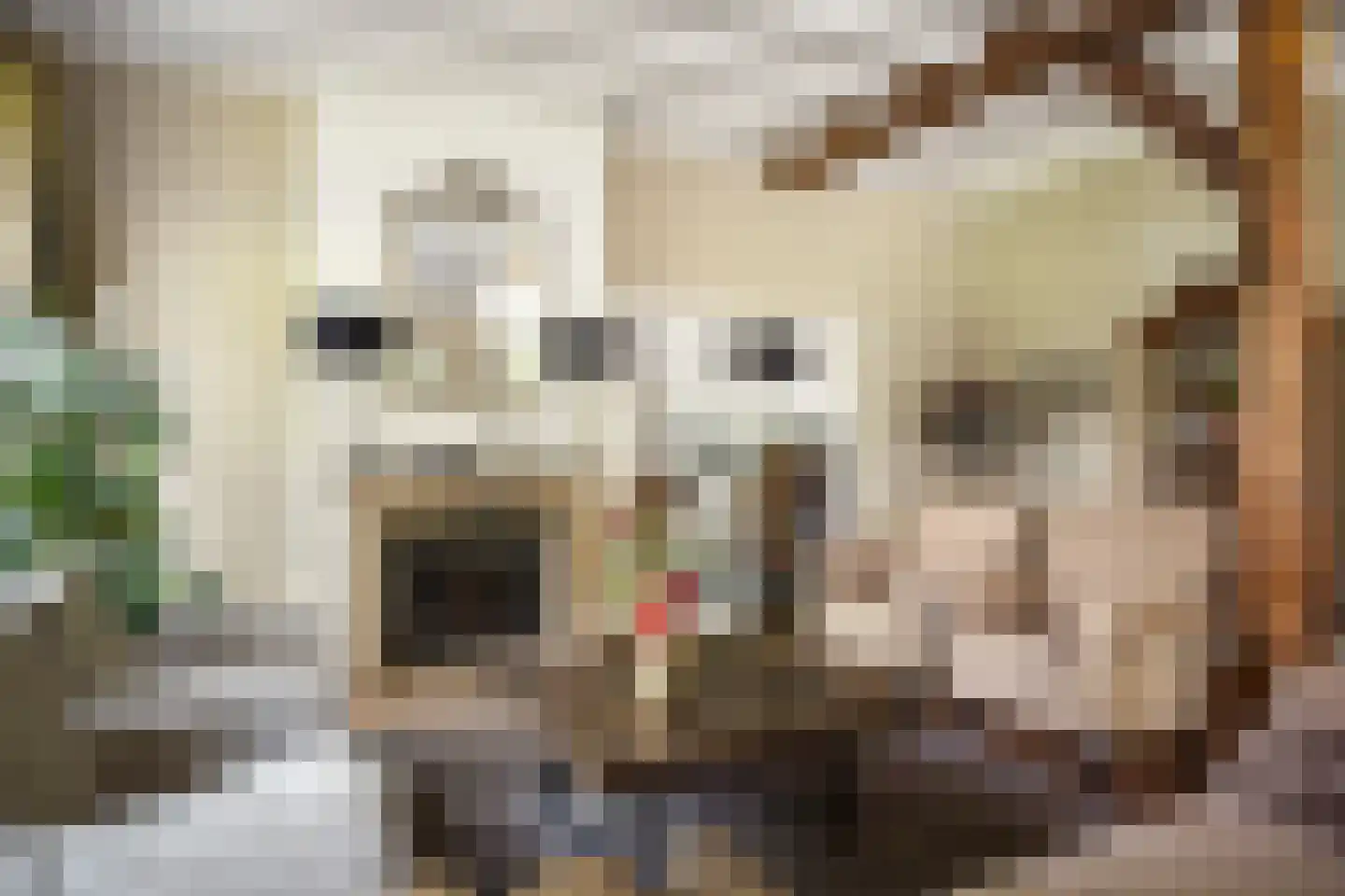 Dennendijk 6 Geesteren thumbnail 50
