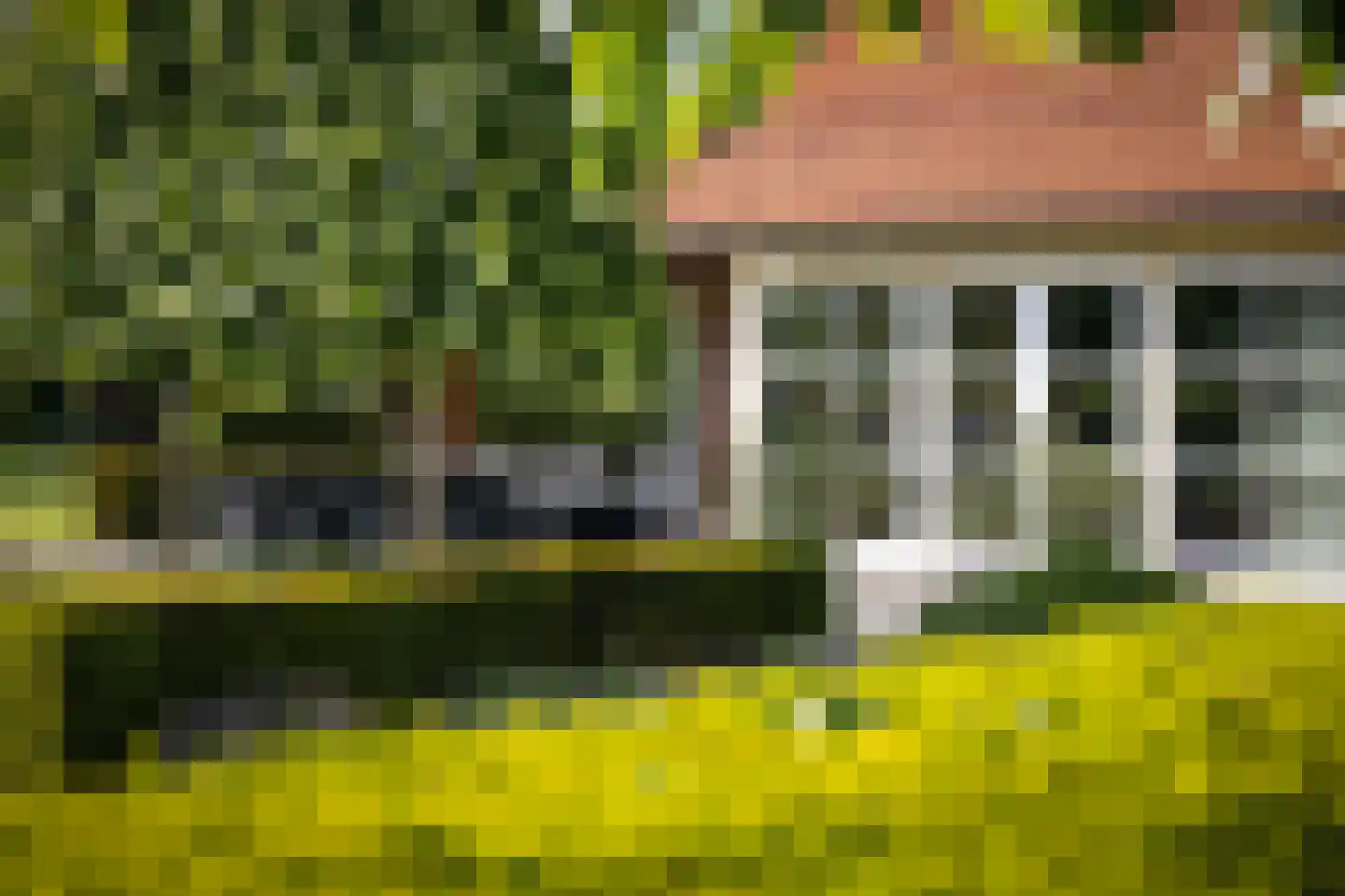 Dennendijk 6 Geesteren thumbnail 62