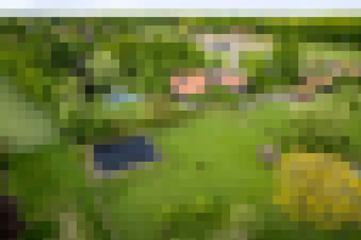 Dennendijk 6 Geesteren thumbnail 64
