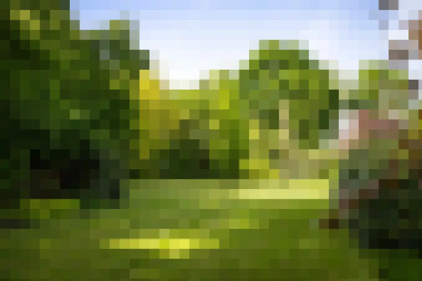 Dennendijk 6 Geesteren thumbnail 65