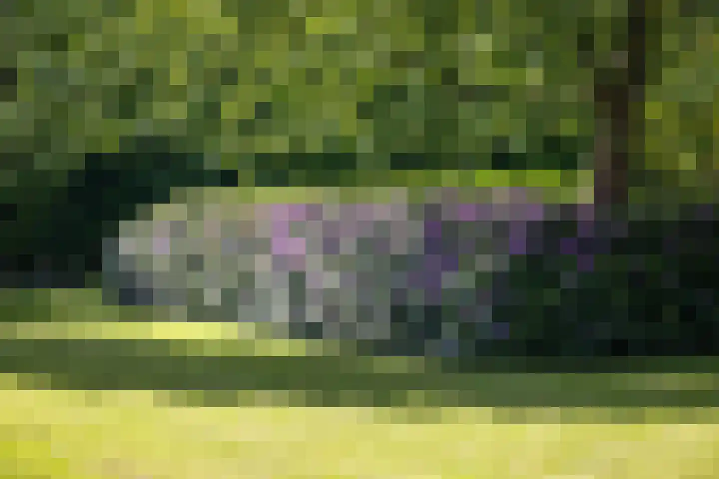 Dennendijk 6 Geesteren thumbnail 66