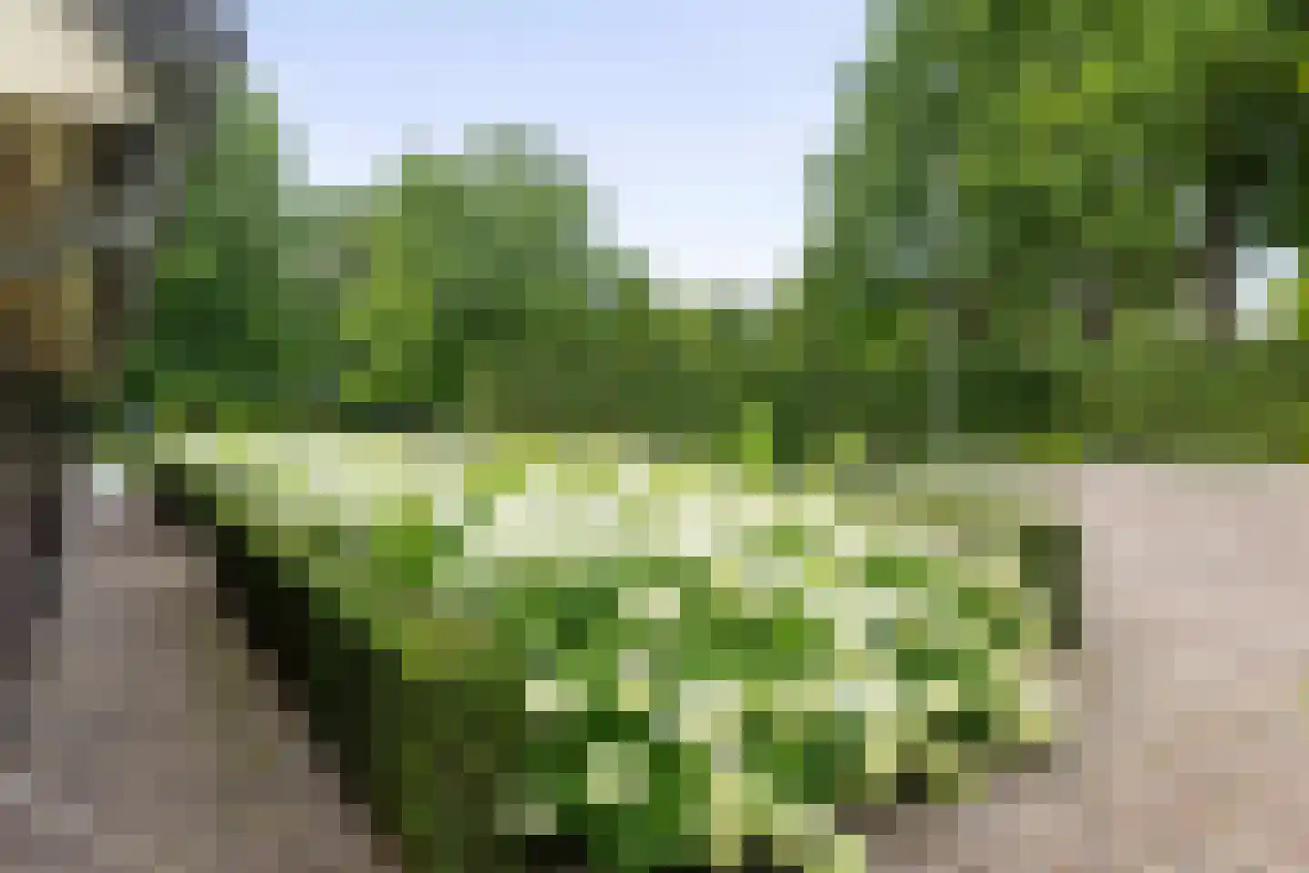 Dennendijk 6 Geesteren thumbnail 68