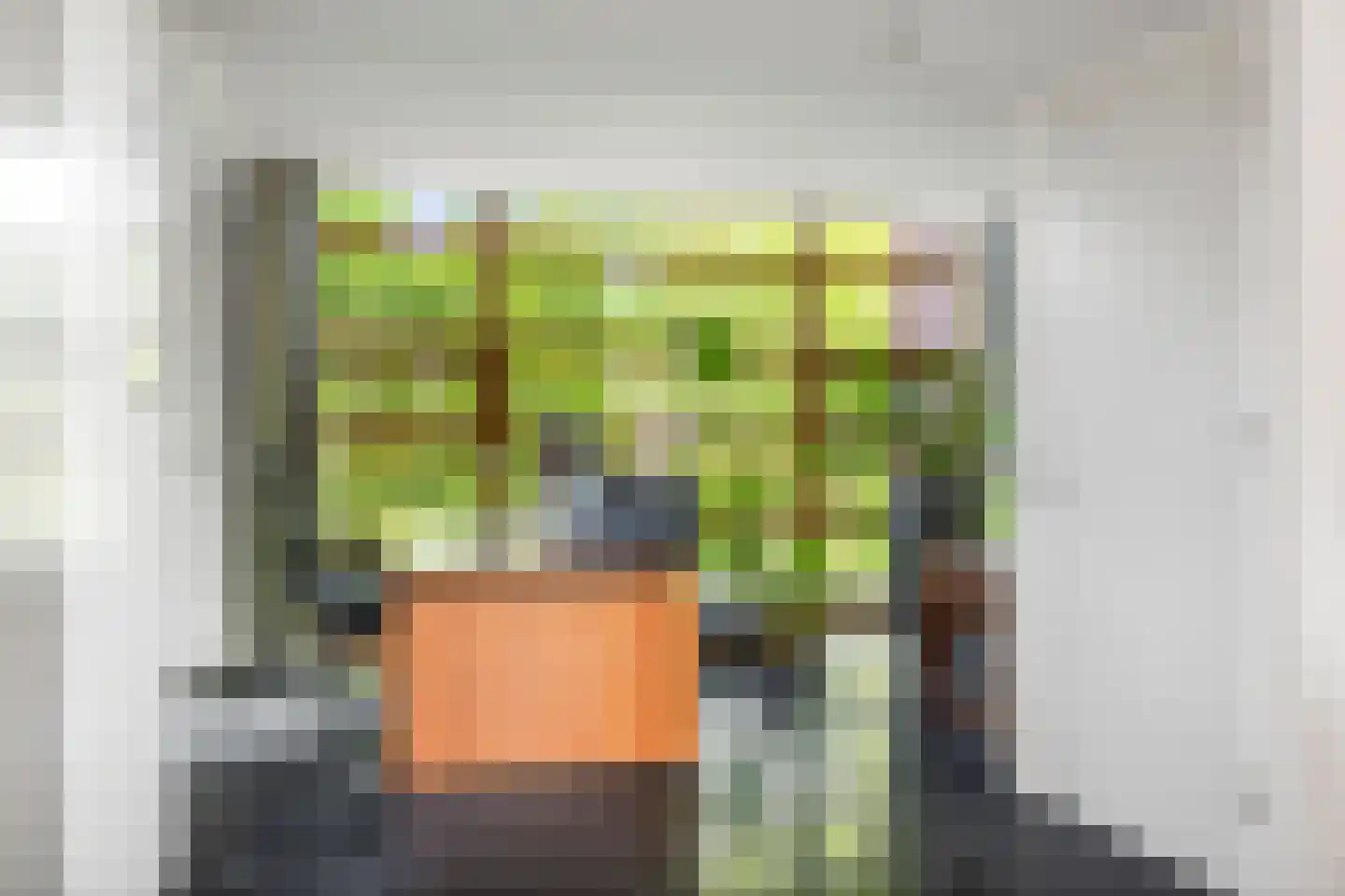 Dennendijk 6 Geesteren thumbnail 75
