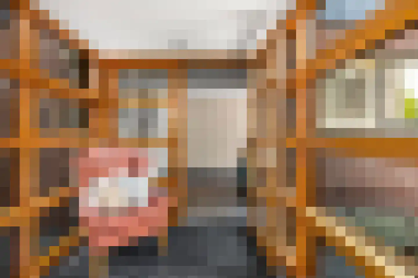 Dennendijk 6 Geesteren thumbnail 79