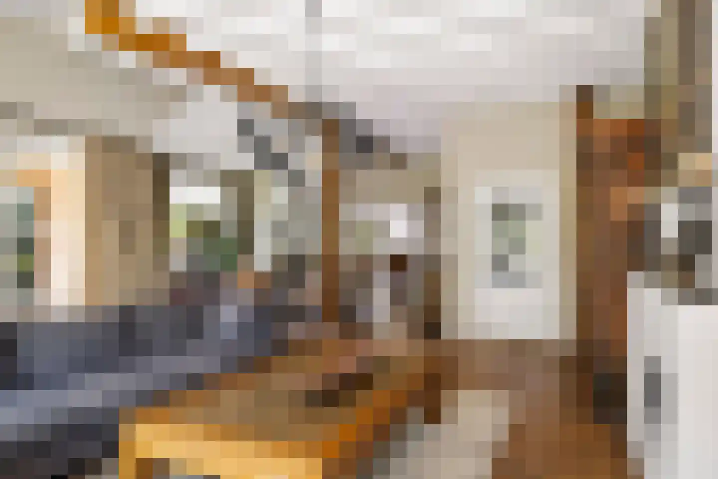 Dennendijk 6 Geesteren thumbnail 8