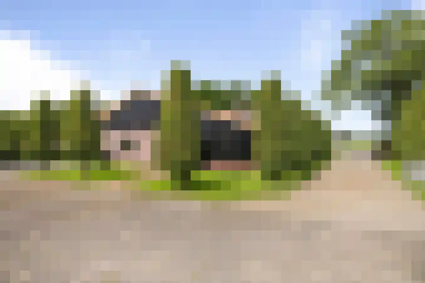 Dennendijk 6 Geesteren thumbnail 87