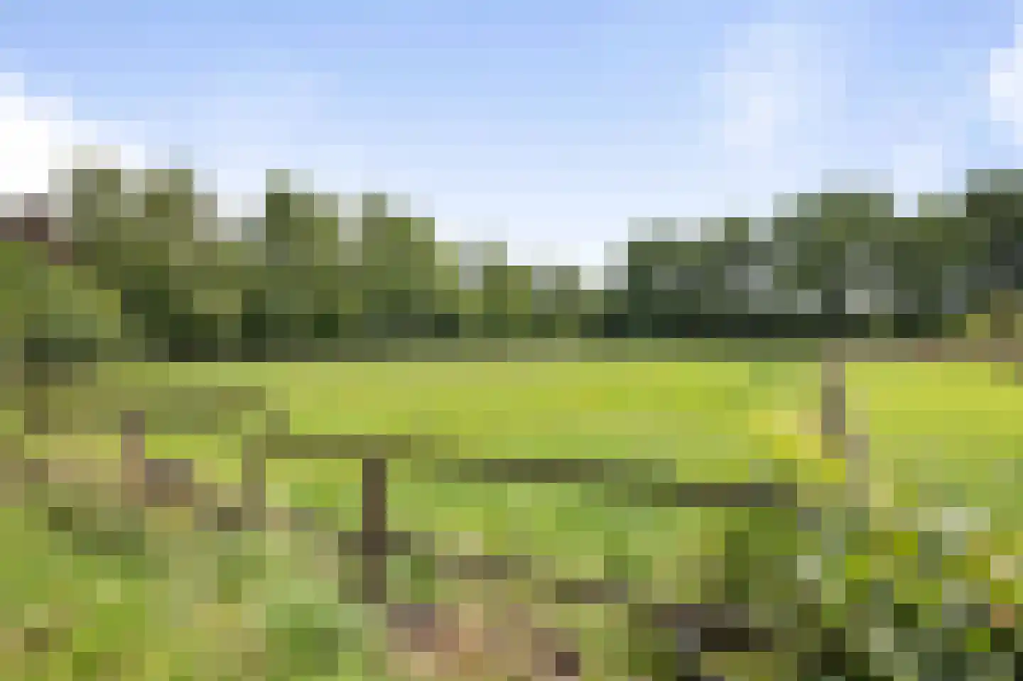 Dennendijk 6 Geesteren thumbnail 88