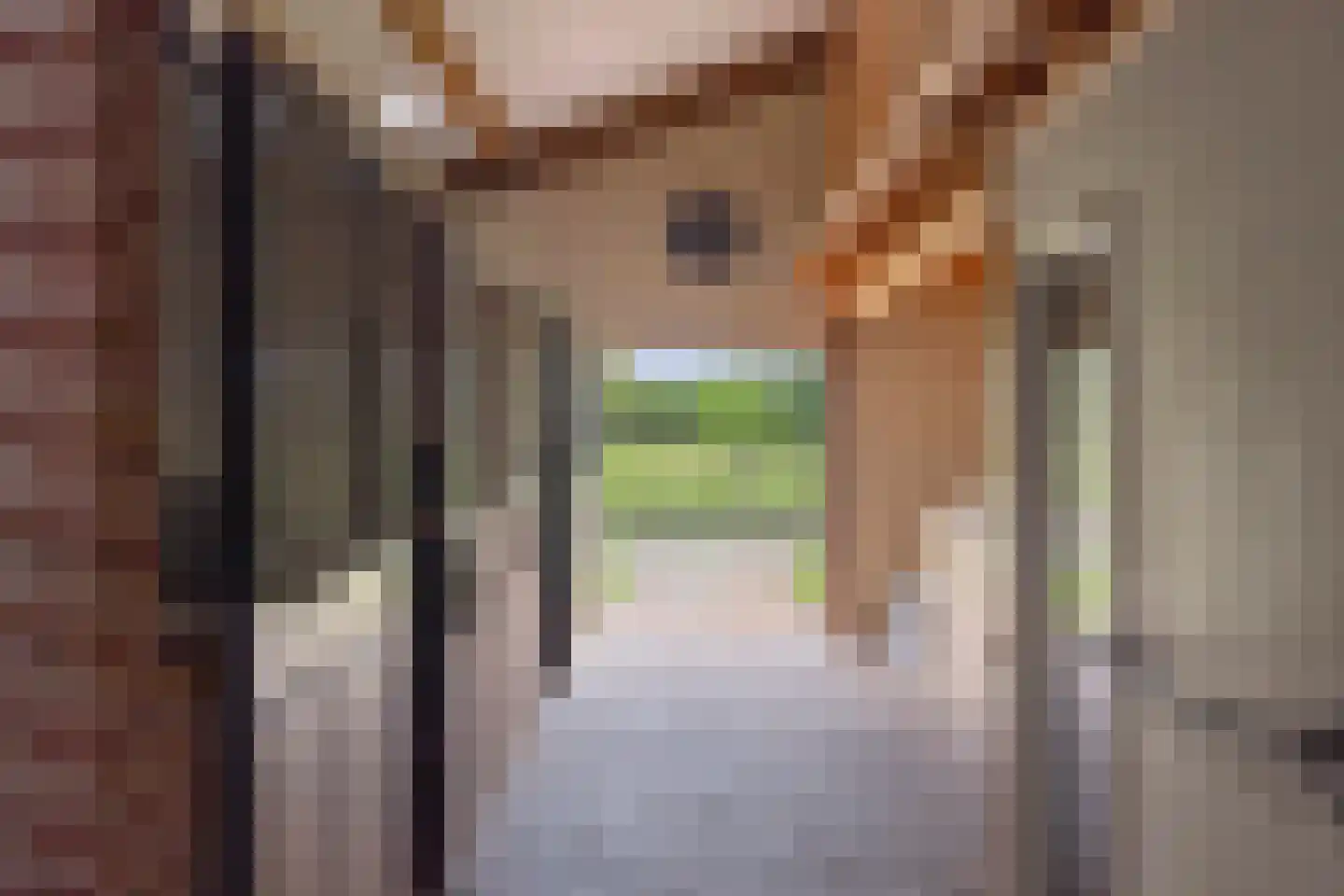 Dennendijk 6 Geesteren thumbnail 94