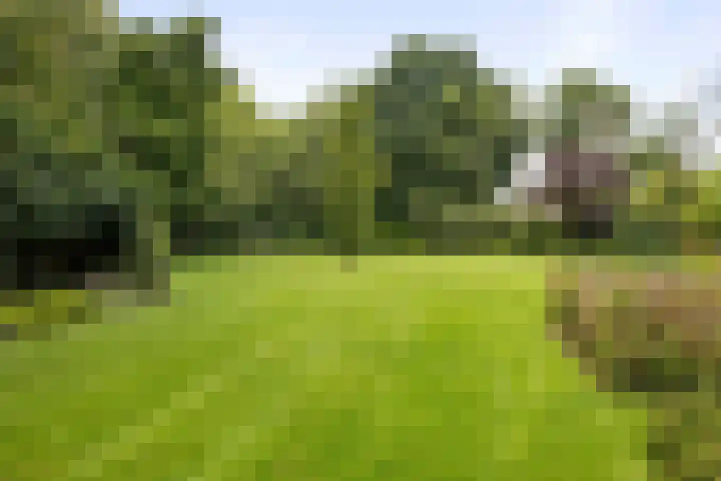 Dennendijk 6 Geesteren thumbnail 97
